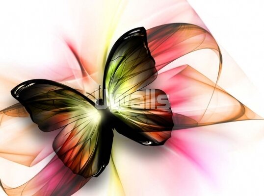 Арт фотообои разноцветная бабочка
