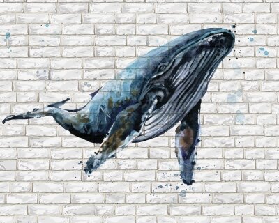 Фотообои синий кит
