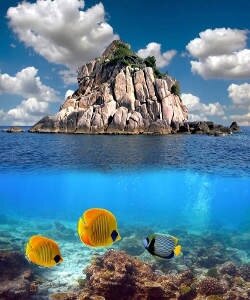 остров, море, камни, рыбы, солнце, кораллы